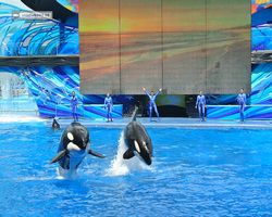 Florida - Orlando - SeaWorld