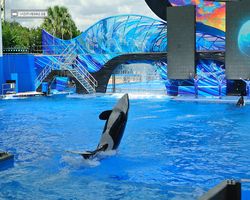Florida - Orlando - SeaWorld