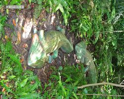 Florida - Plant City - Dinosaur World