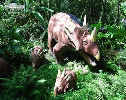 Florida - Plant City - Dinosaur World