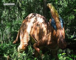 Florida - Plant City - Dinosaur World
