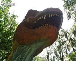 Florida - Plant City - Dinosaur World