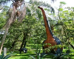 Florida - Plant City - Dinosaur World