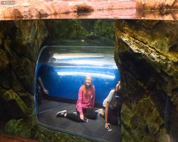 Georgia - Atlanta - Atlanta Aquarium