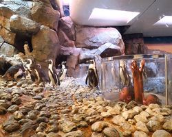 Georgia - Atlanta - Atlanta Aquarium