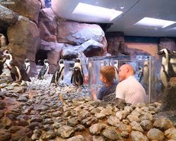 Georgia - Atlanta - Atlanta Aquarium