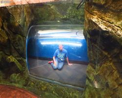 Georgia - Atlanta - Atlanta Aquarium