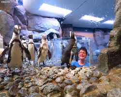 Georgia - Atlanta - Atlanta Aquarium