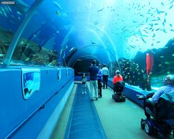 Georgia - Atlanta - Atlanta Aquarium