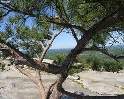 Georgia - Atlanta - Stone Mountain
