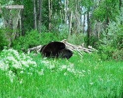 Idaho - Rexburg - Yellowstone Bear World