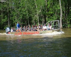 Louisiana - New Orleans - Cajun Encounters Swamp Tour