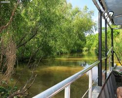 Louisiana - New Orleans - Cajun Encounters Swamp Tour