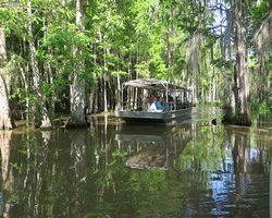 Louisiana - New Orleans - Cajun Encounters Swamp Tour