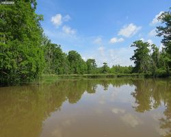 Louisiana - New Orleans - Cajun Encounters Swamp Tour