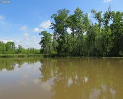 Louisiana - New Orleans - Cajun Encounters Swamp Tour