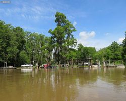 Louisiana - New Orleans - Cajun Encounters Swamp Tour