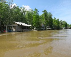 Louisiana - New Orleans - Cajun Encounters Swamp Tour