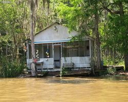 Louisiana - New Orleans - Cajun Encounters Swamp Tour