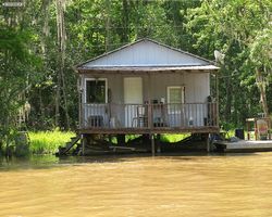 Louisiana - New Orleans - Cajun Encounters Swamp Tour