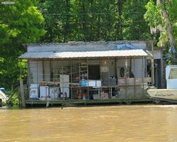 Louisiana - New Orleans - Cajun Encounters Swamp Tour