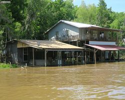 Louisiana - New Orleans - Cajun Encounters Swamp Tour