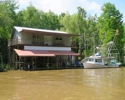Louisiana - New Orleans - Cajun Encounters Swamp Tour