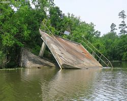 Louisiana - New Orleans - Cajun Encounters Swamp Tour