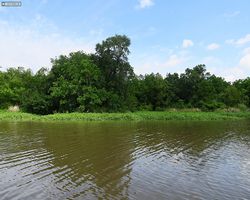 Louisiana - New Orleans - Cajun Encounters Swamp Tour