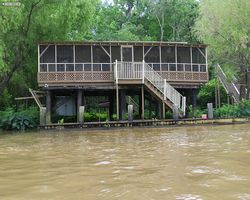 Louisiana - New Orleans - Cajun Encounters Swamp Tour