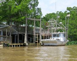 Louisiana - New Orleans - Cajun Encounters Swamp Tour