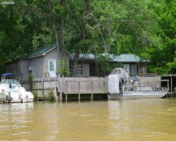 Louisiana - New Orleans - Cajun Encounters Swamp Tour