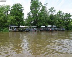 Louisiana - New Orleans - Cajun Encounters Swamp Tour