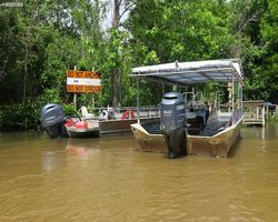 Louisiana - New Orleans - Cajun Encounters Swamp Tour