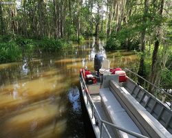 Louisiana - New Orleans - Cajun Encounters Swamp Tour