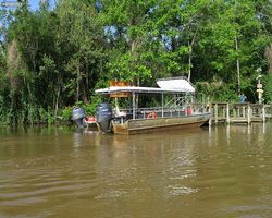 Louisiana - New Orleans - Cajun Encounters Swamp Tour