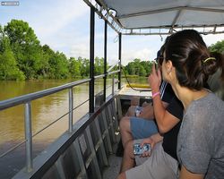 Louisiana - New Orleans - Cajun Encounters Swamp Tour