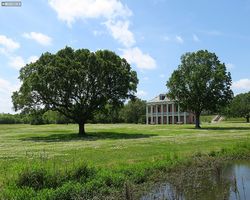 Louisiana - New Orleans - Creole Queen
