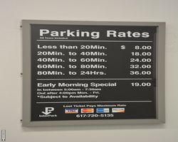 Boston - Whale Watching