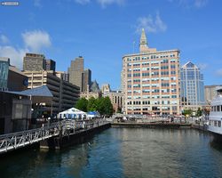 Boston - Whale Watching