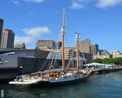 Boston - Whale Watching