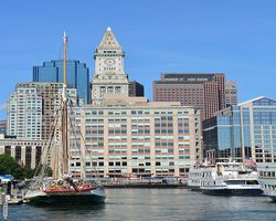 Boston - Whale Watching