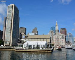 Boston - Whale Watching