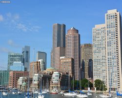 Boston - Whale Watching