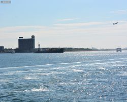 Boston - Whale Watching