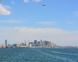 Boston - Whale Watching