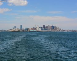 Boston - Whale Watching