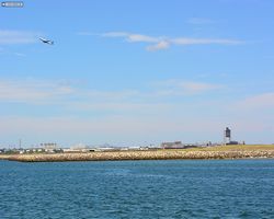 Boston - Whale Watching