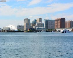 Boston - Whale Watching