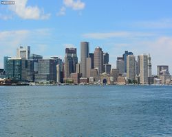 Boston - Whale Watching